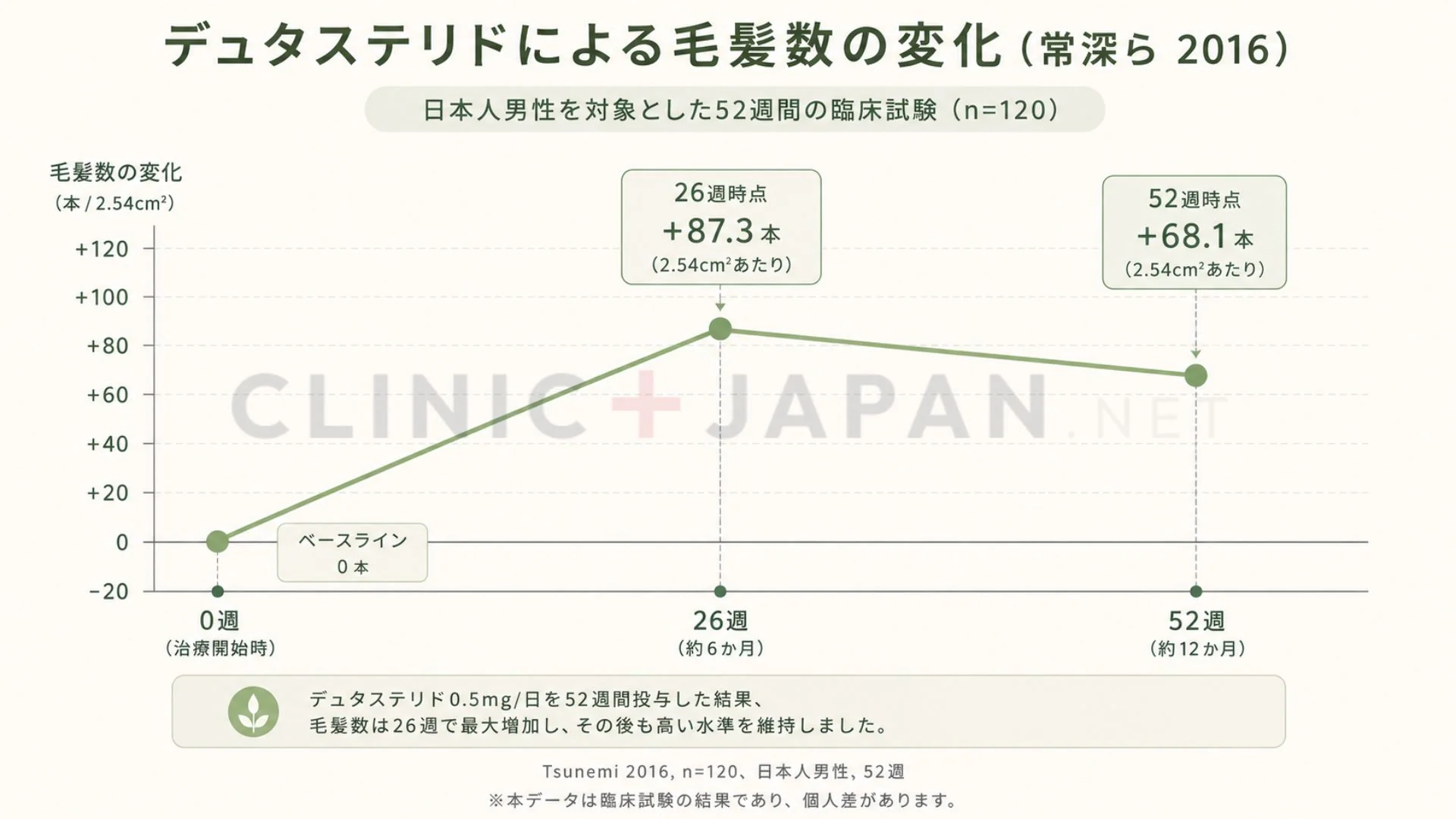 デュタステリドの発毛効果タイムライン — 3か月・6か月・12か月・24か月の経過と毛髪数推移