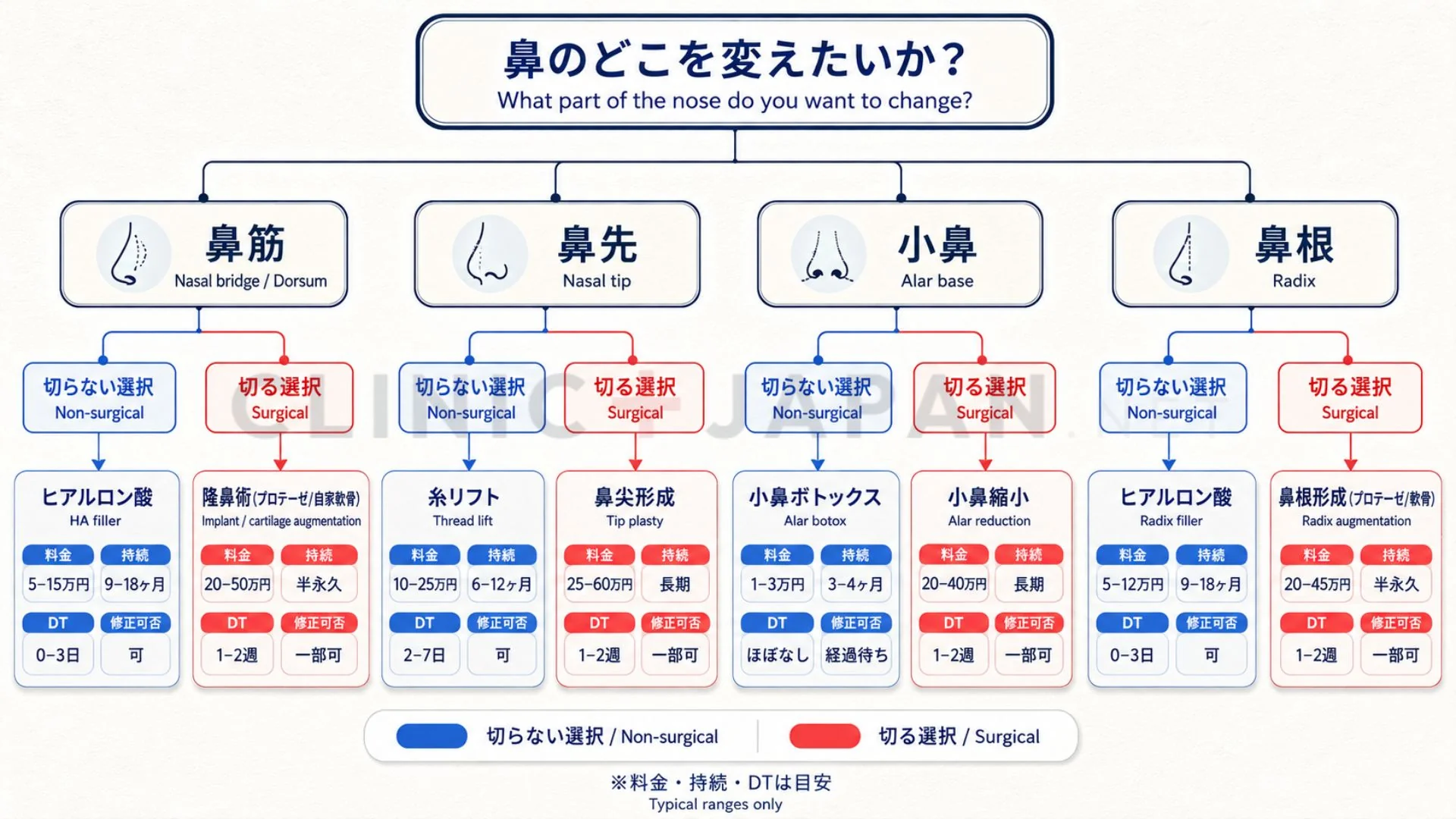 鼻整形の悩み別意思決定フロー — 鼻筋・鼻先・小鼻・鼻根の悩みから術式選択までのマップ