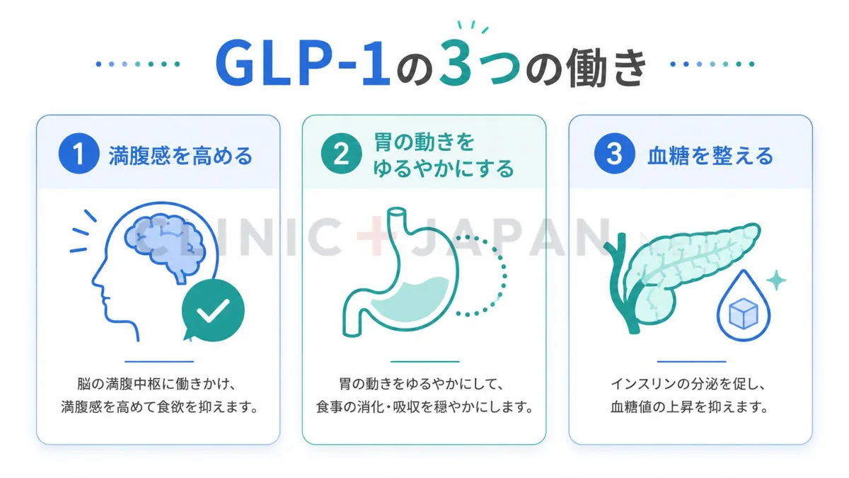 GLP-1の3つの主な働き（満腹感・胃排出の遅延・血糖調整）を示した図